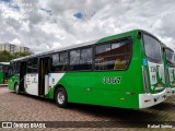 VB Transportes e Turismo 3367 na cidade de Campinas, São Paulo, Brasil, por Rafael Senna. ID da foto: :id.