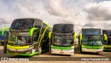 Expresso Princesa dos Campos 6614 na cidade de Ponta Grossa, Paraná, Brasil, por Adryan Fernando Muller. Número da foto: #7943363.