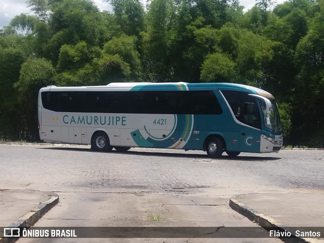 Auto Viação Camurujipe 4421 na cidade de Cruz das Almas, Bahia, Brasil, por Flávio  Santos. Número da foto: #7947595.