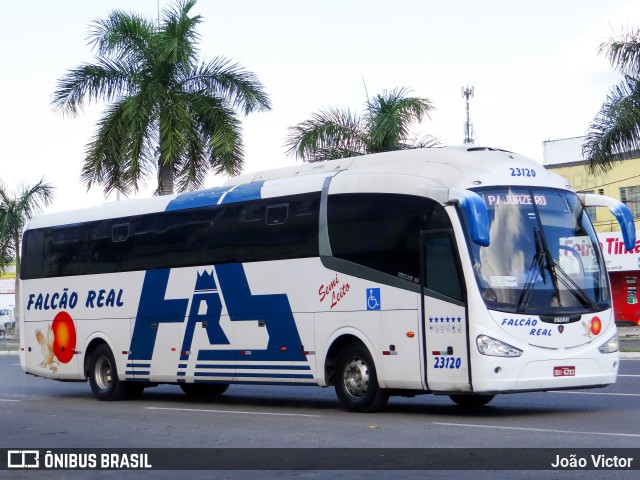 Falcão Real 23120 na cidade de Feira de Santana, Bahia, Brasil, por João Victor. ID da foto: 7949437.