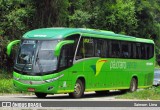 Pássaro Verde 19159 na cidade de Manhuaçu, Minas Gerais, Brasil, por Saimom  Lima. Número da foto: #7948561.