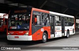 Express Transportes Urbanos Ltda 4 4497 na cidade de São Paulo, São Paulo, Brasil, por Hipólito Rodrigues. Número da foto: #:id.