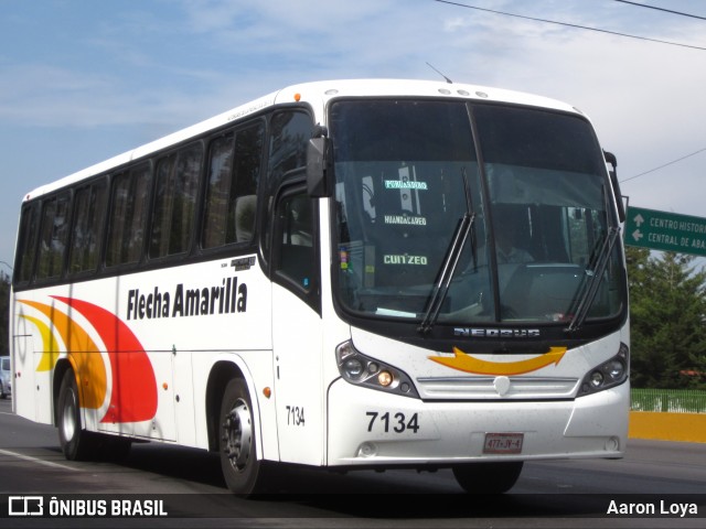 Flecha Amarilla 7134 na cidade de Morelia, Michoacán, México, por Aaron Loya. ID da foto: 7951220.