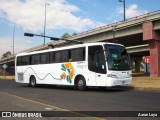 Alegra 736 na cidade de Morelia, Michoacán, México, por Aaron Loya. Número da foto: #7950505.