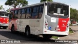 Allibus Transportes 4 5080 na cidade de São Paulo, São Paulo, Brasil, por Cleverson dos Reis Giraldi. Número da foto: #7956653.