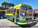 Ônibus Particulares 113 na cidade de Curitiba, Paraná, Brasil, por João Henrique. ID da foto: :id.