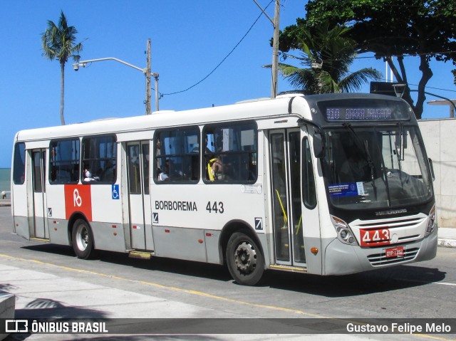 Borborema Imperial Transportes 443 na cidade de Recife, Pernambuco, Brasil, por Gustavo Felipe Melo. ID da foto: 7959199.