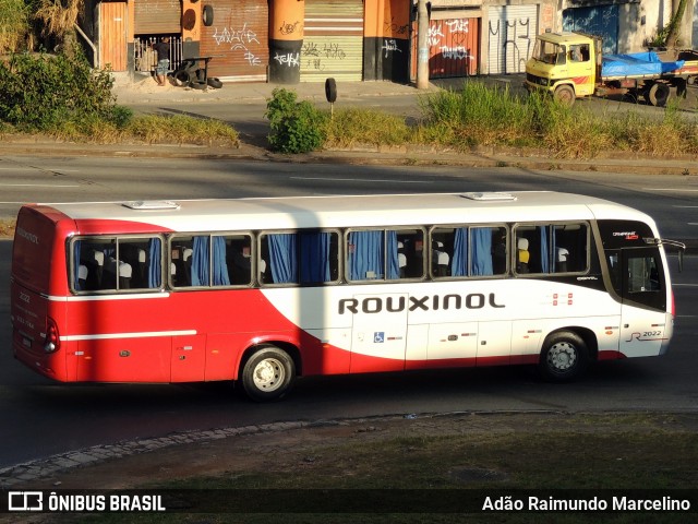 Rouxinol 2022 na cidade de Belo Horizonte, Minas Gerais, Brasil, por Adão Raimundo Marcelino. ID da foto: 7966450.