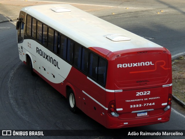 Rouxinol 2022 na cidade de Belo Horizonte, Minas Gerais, Brasil, por Adão Raimundo Marcelino. ID da foto: 7966436.