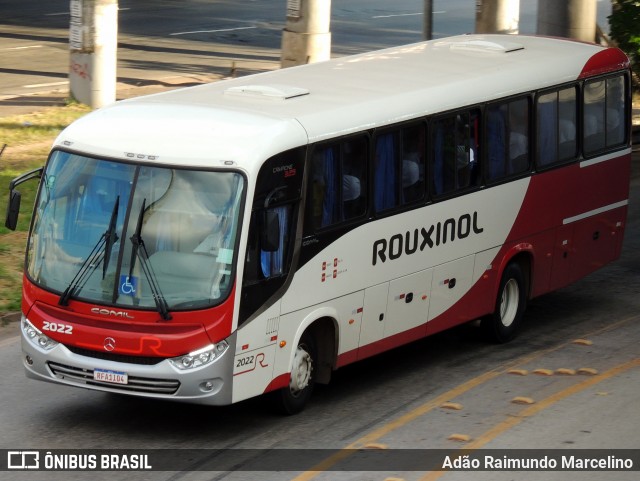 Rouxinol 2022 na cidade de Belo Horizonte, Minas Gerais, Brasil, por Adão Raimundo Marcelino. ID da foto: 7966429.