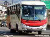 Rouxinol 2022 na cidade de Belo Horizonte, Minas Gerais, Brasil, por Adão Raimundo Marcelino. Número da foto: #7966416.