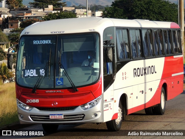 Rouxinol 2088 na cidade de Belo Horizonte, Minas Gerais, Brasil, por Adão Raimundo Marcelino. ID da foto: 7968283.