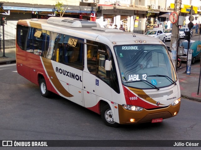 Rouxinol 1655 na cidade de Belo Horizonte, Minas Gerais, Brasil, por Júlio César. ID da foto: 7969018.