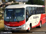 Rouxinol 2088 na cidade de Belo Horizonte, Minas Gerais, Brasil, por Adão Raimundo Marcelino. Número da foto: #7968283.