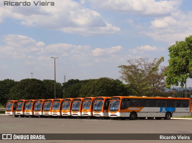 Catedral Turismo 70188 na cidade de Brasília, Distrito Federal, Brasil, por Ricardo Vieira. ID da foto: 7893525.