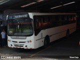 Puma Pardo 00 na cidade de Siquirres, Siquirres, Limón, Costa Rica, por Yliand Sojo. Número da foto: #:id.