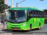 Pássaro Verde 19174 na cidade de Belo Horizonte, Minas Gerais, Brasil, por Tiago Wenceslau de Souza. Número da foto: #:id.