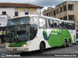 Pássaro Verde 3730 na cidade de Belo Horizonte, Minas Gerais, Brasil, por Tarcisio Rodrigues da Silva. Número da foto: #7895156.