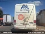 Falcão Real 1303 na cidade de Caldeirão Grande, Bahia, Brasil, por Mario dos Santos Nogueira Junior. Número da foto: #7897235.