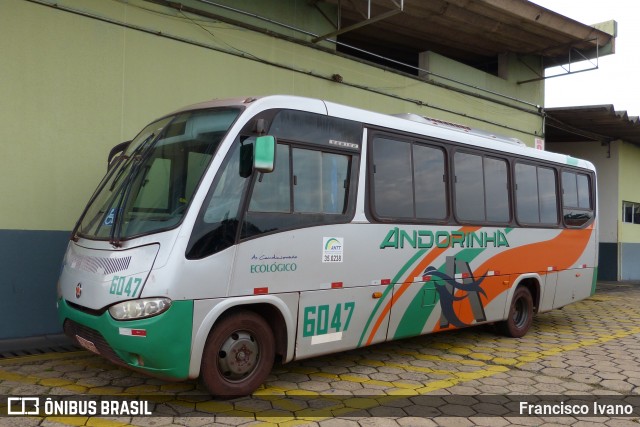 Empresa de Transportes Andorinha 6047 na cidade de Presidente Prudente, São Paulo, Brasil, por Francisco Ivano. ID da foto: 7899231.