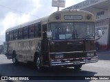 Travisa Herediana HB 1434 na cidade de San Josecito, San Rafael, Heredia, Costa Rica, por Luis Diego Sánchez. Número da foto: #7900406.