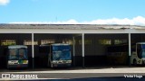 Empresa Gontijo de Transportes 9645 na cidade de Crato, Ceará, Brasil, por Victor Hugo. Número da foto: #7899095.