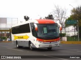 Flecha Amarilla 7129 na cidade de Morelia, Michoacán, México, por Aaron Loya. Número da foto: #7903222.