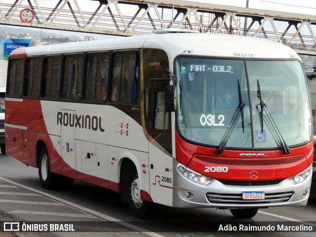 Rouxinol 2080 na cidade de Belo Horizonte, Minas Gerais, Brasil, por Adão Raimundo Marcelino. ID da foto: 7974774.