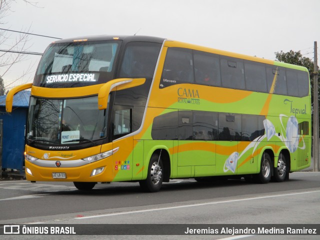 Buses Tepual  na cidade de San Fernando, Colchagua, Libertador General Bernardo O'Higgins, Chile, por Jeremias Alejandro Medina Ramirez. ID da foto: 7974149.