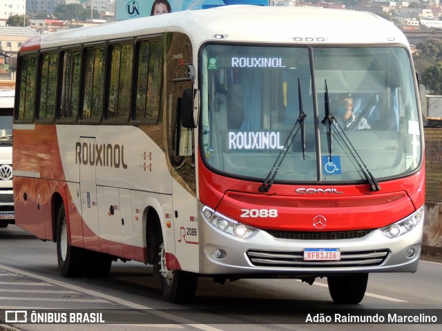 Rouxinol 2088 na cidade de Belo Horizonte, Minas Gerais, Brasil, por Adão Raimundo Marcelino. ID da foto: 7974757.