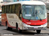 Rouxinol 2088 na cidade de Belo Horizonte, Minas Gerais, Brasil, por Adão Raimundo Marcelino. Número da foto: #7974757.
