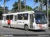 Borborema Imperial Transportes 443 na cidade de Recife, Pernambuco, Brasil, por Gustavo Felipe Melo. ID da foto: :id.