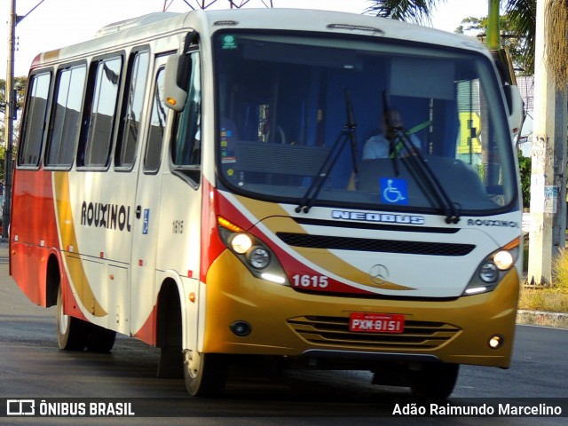 Rouxinol 1615 na cidade de Contagem, Minas Gerais, Brasil, por Adão Raimundo Marcelino. Número da foto: #8007621.