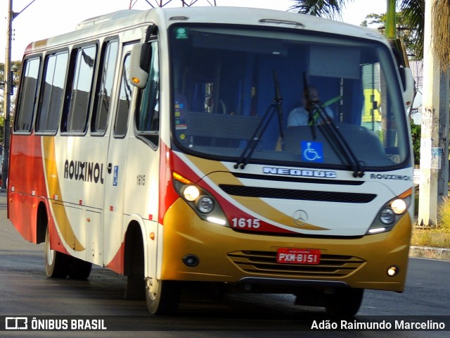 Rouxinol 1615 na cidade de Contagem, Minas Gerais, Brasil, por Adão Raimundo Marcelino. ID da foto: 8007621.