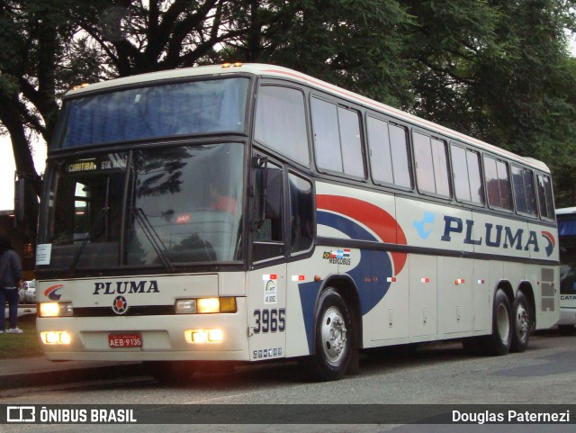 Pluma Conforto e Turismo 3965 na cidade de Curitiba, Paraná, Brasil, por Douglas Paternezi. Número da foto: #8007713.