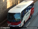 Rouxinol 2035 na cidade de Contagem, Minas Gerais, Brasil, por Adão Raimundo Marcelino. Número da foto: #8007675.