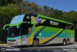 Trans Brasil > TCB - Transporte Coletivo Brasil 4113 na cidade de São Paulo, São Paulo, Brasil, por Eduardo Ribeiro. Número da foto: #8006818.