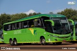 Pássaro Verde 19147 na cidade de Cascavel, Paraná, Brasil, por Carlos Kircheim. Número da foto: #:id.