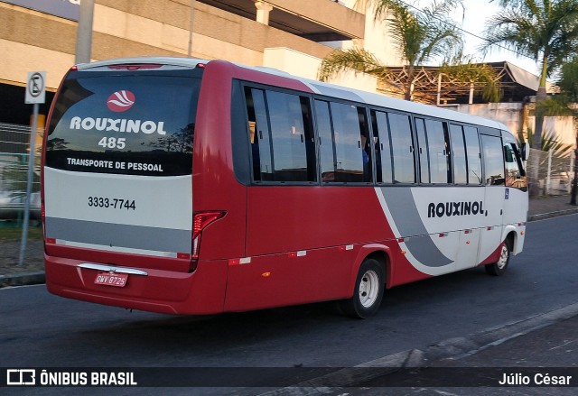 Rouxinol 485 na cidade de Belo Horizonte, Minas Gerais, Brasil, por Júlio César. Número da foto: #8010702.