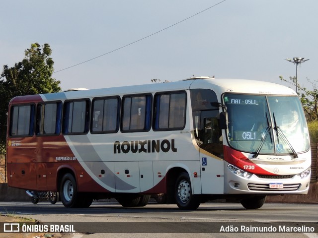 Rouxinol 1730 na cidade de Belo Horizonte, Minas Gerais, Brasil, por Adão Raimundo Marcelino. ID da foto: 8016177.