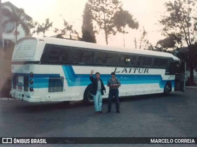 Laitur  na cidade de Belo Horizonte, Minas Gerais, Brasil, por MARCELO CORREIA. Número da foto: #8016217.