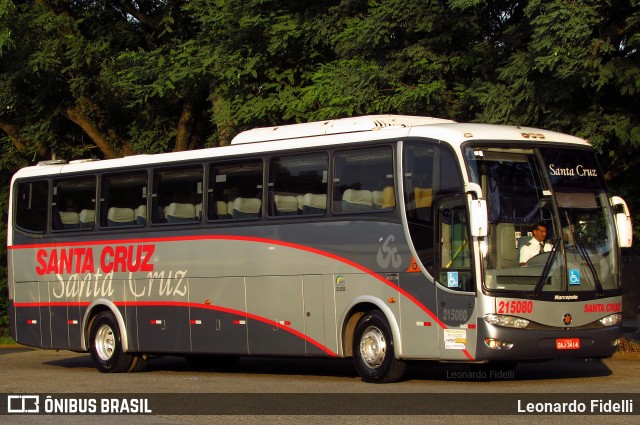 Viação Santa Cruz 215080 na cidade de São Paulo, São Paulo, Brasil, por Leonardo Fidelli. Número da foto: #8015833.