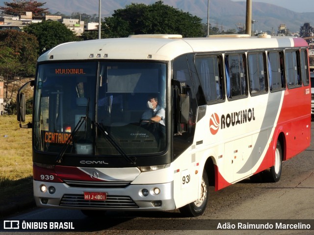 Rouxinol 939 na cidade de Belo Horizonte, Minas Gerais, Brasil, por Adão Raimundo Marcelino. ID da foto: 8016221.