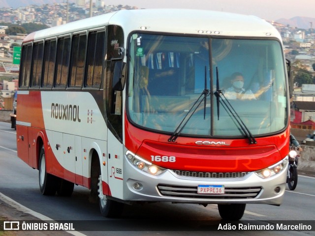 Rouxinol 1688 na cidade de Belo Horizonte, Minas Gerais, Brasil, por Adão Raimundo Marcelino. ID da foto: 8016134.