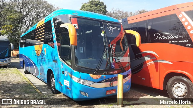 Litorânea Transportes Coletivos 5981 na cidade de São Paulo, São Paulo, Brasil, por Marcelo Horta. Número da foto: #8014570.