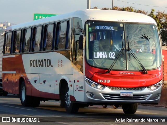 Rouxinol 1633 na cidade de Belo Horizonte, Minas Gerais, Brasil, por Adão Raimundo Marcelino. Número da foto: #8016115.
