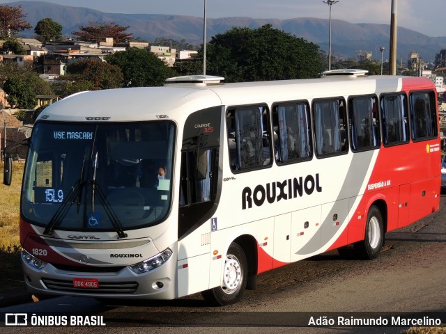 Rouxinol 1820 na cidade de Belo Horizonte, Minas Gerais, Brasil, por Adão Raimundo Marcelino. Número da foto: #8016206.