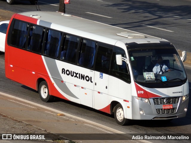 Rouxinol 570 na cidade de Belo Horizonte, Minas Gerais, Brasil, por Adão Raimundo Marcelino. Número da foto: #8016230.