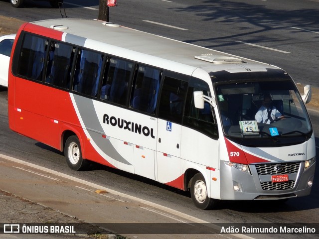 Rouxinol 570 na cidade de Belo Horizonte, Minas Gerais, Brasil, por Adão Raimundo Marcelino. ID da foto: 8016230.