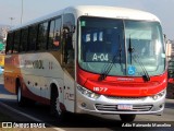 Rouxinol 1677 na cidade de Belo Horizonte, Minas Gerais, Brasil, por Adão Raimundo Marcelino. Número da foto: #8016245.